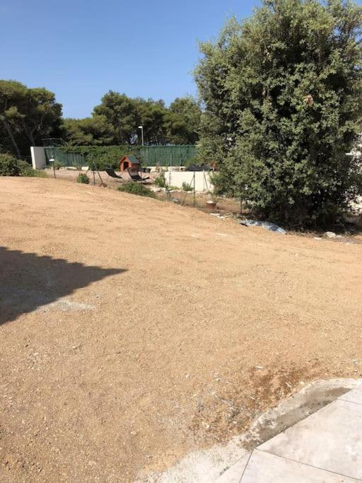 Villa Neuve Avec Piscine Bonifacio  Eksteriør billede